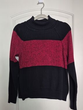 Karen Scott Turtle Neck